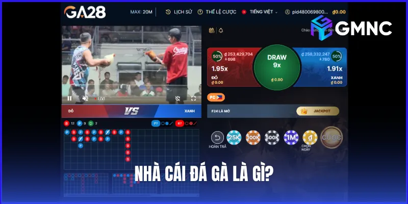 Nhà cái đá gà uy tín là nền tảng trực tuyến chuyên tổ chức và truyền tải các trận đấu gà